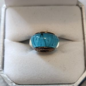 Pandora Murano Glass Bracelet Charm
